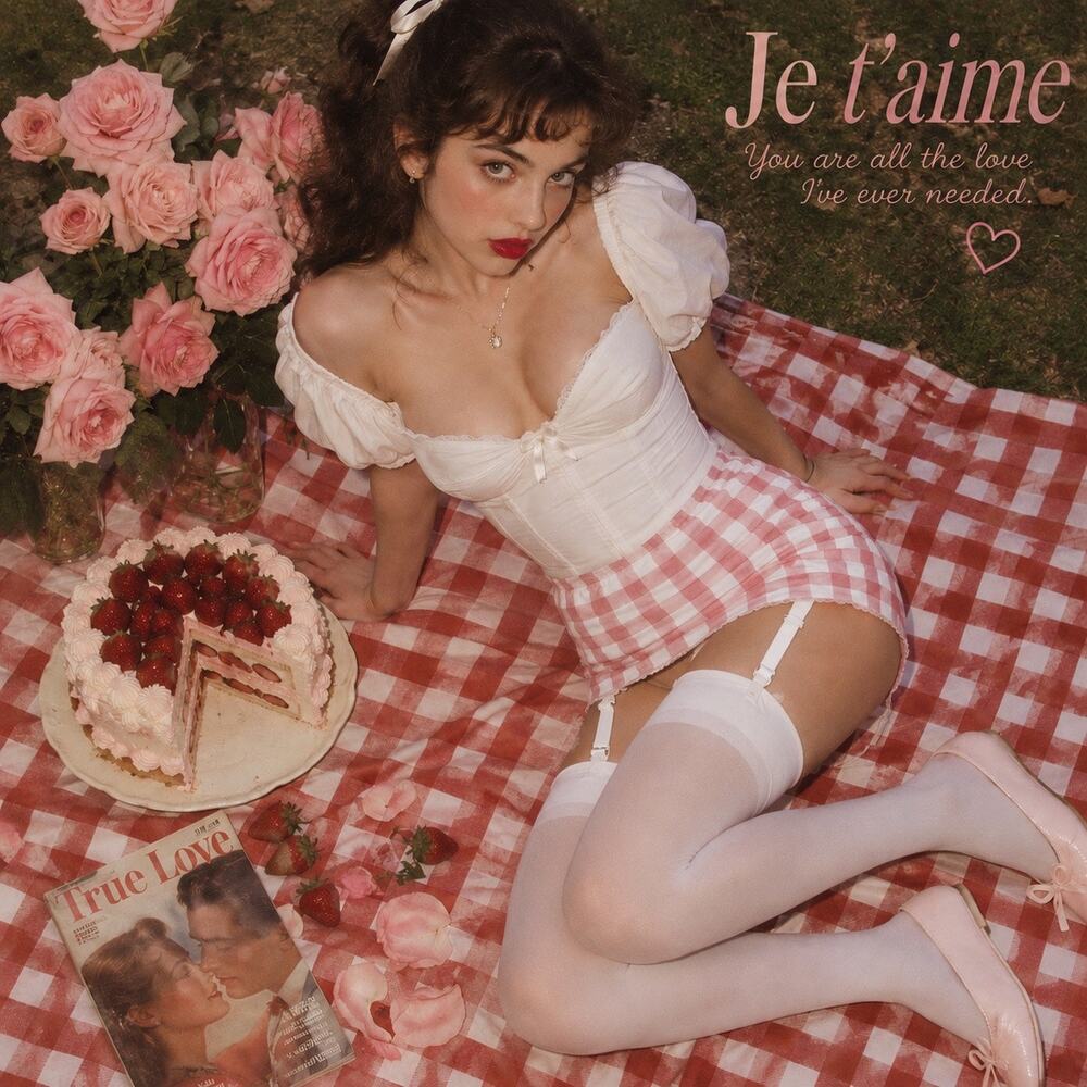 Current Mood Pink Gingham Garter Skirt L Coquette Lingerie Suspender Skirt Y2K - Picture 4 of 10